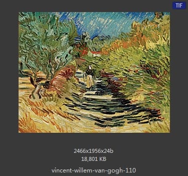 Vincent van Gogh