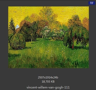Vincent van Gogh