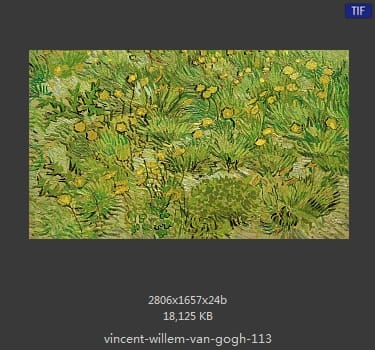 Vincent van Gogh