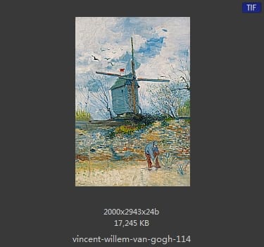 Vincent van Gogh