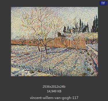 Vincent van Gogh