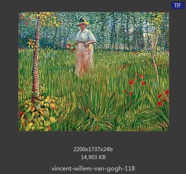Vincent van Gogh