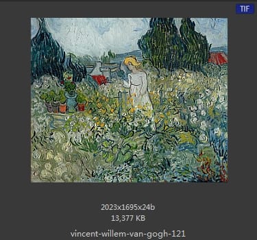 Vincent van Gogh