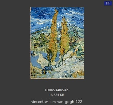 Vincent van Gogh