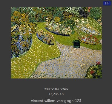 Vincent van Gogh