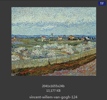 Vincent van Gogh