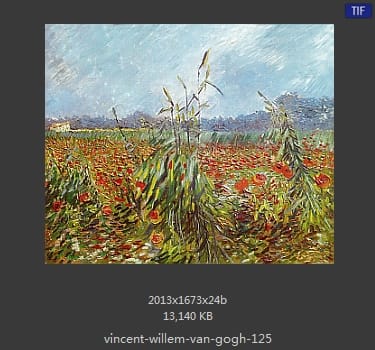 Vincent van Gogh