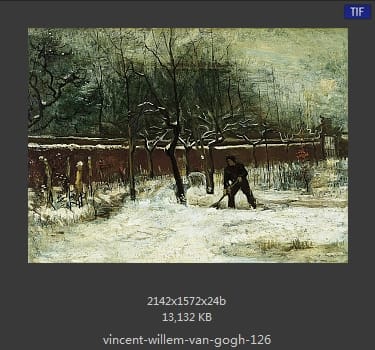 Vincent van Gogh