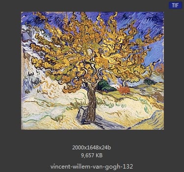 Vincent van Gogh