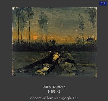 Vincent van Gogh