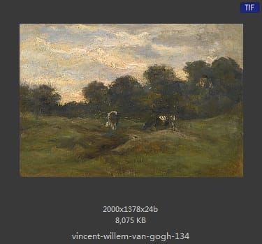 Vincent van Gogh
