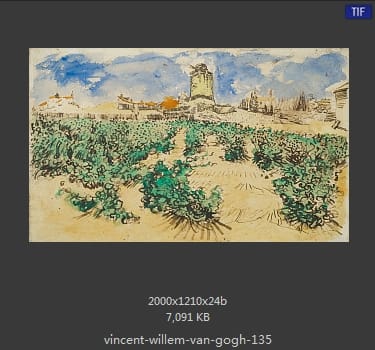 Vincent van Gogh