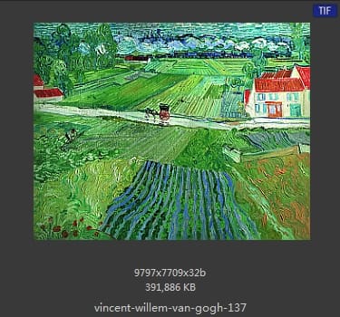 Vincent van Gogh