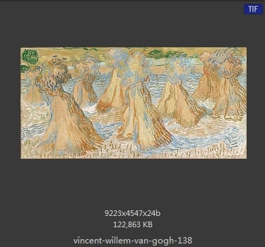 Vincent van Gogh