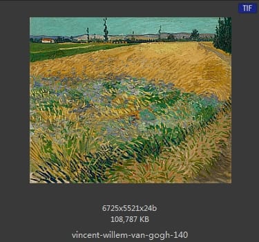 Vincent van Gogh