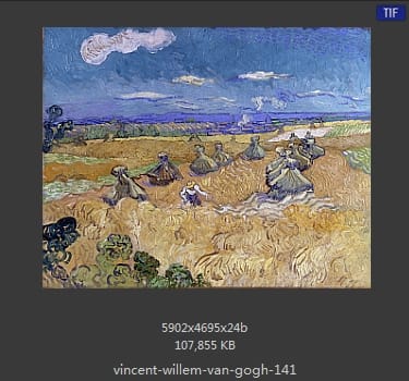 Vincent van Gogh