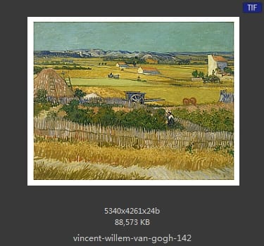 Vincent van Gogh