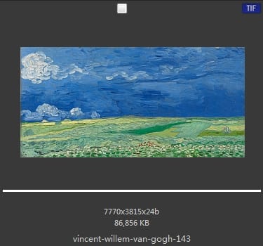 Vincent van Gogh