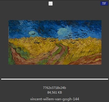 Vincent van Gogh