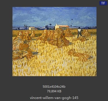 Vincent van Gogh