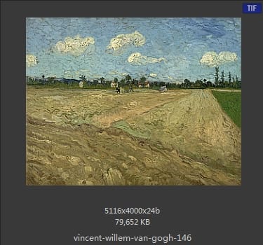 Vincent van Gogh