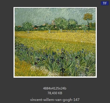 Vincent van Gogh