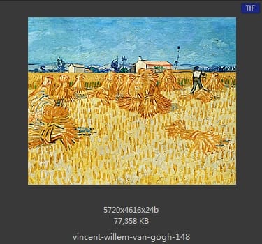 Vincent van Gogh