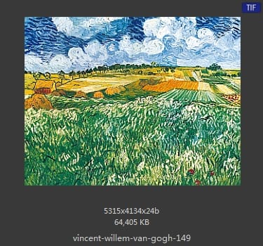 Vincent van Gogh