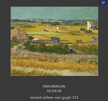 Vincent van Gogh