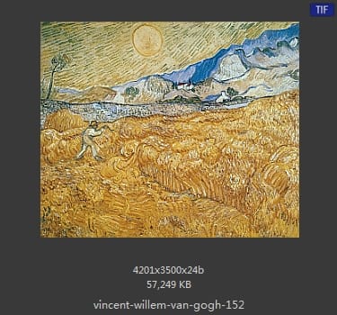 Vincent van Gogh