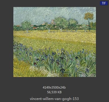 Vincent van Gogh