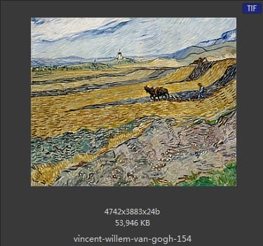 Vincent van Gogh