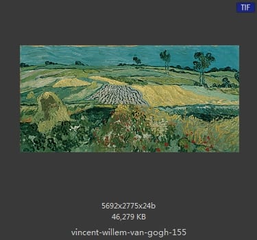 Vincent van Gogh