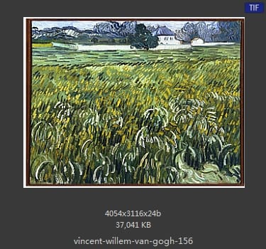 Vincent van Gogh