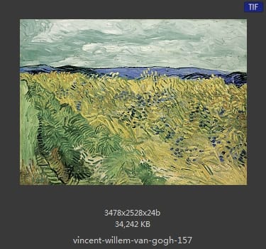 Vincent van Gogh