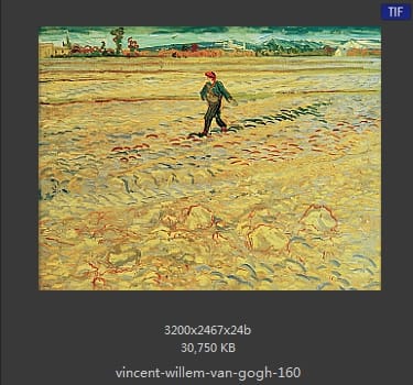 Vincent van Gogh