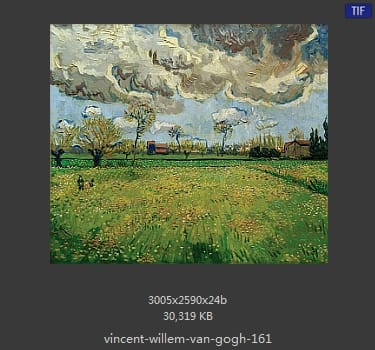 Vincent van Gogh
