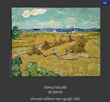 Vincent van Gogh