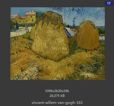 Vincent van Gogh