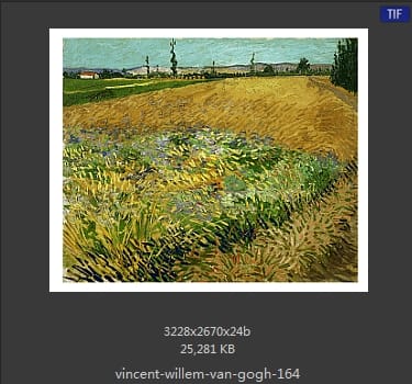 Vincent van Gogh