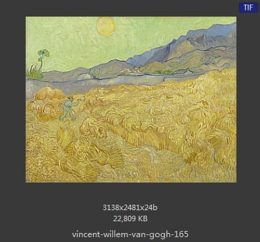 Vincent van Gogh