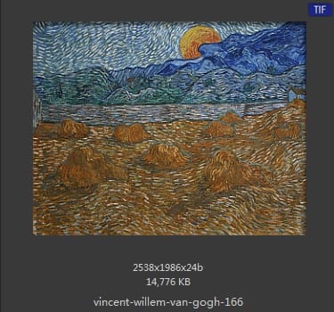 Vincent van Gogh