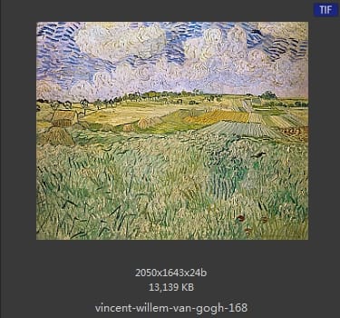 Vincent van Gogh