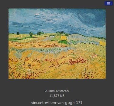 Vincent van Gogh