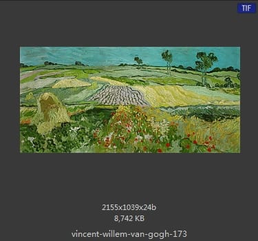 Vincent van Gogh