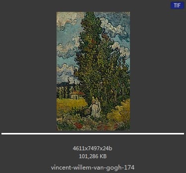 Vincent van Gogh