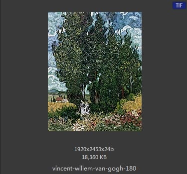 Vincent van Gogh
