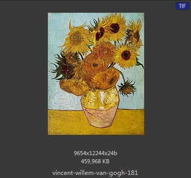 Vincent van Gogh