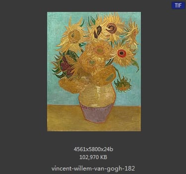 Vincent van Gogh