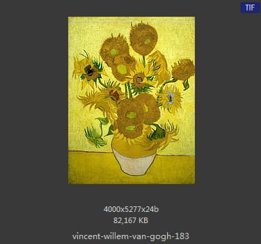Vincent van Gogh